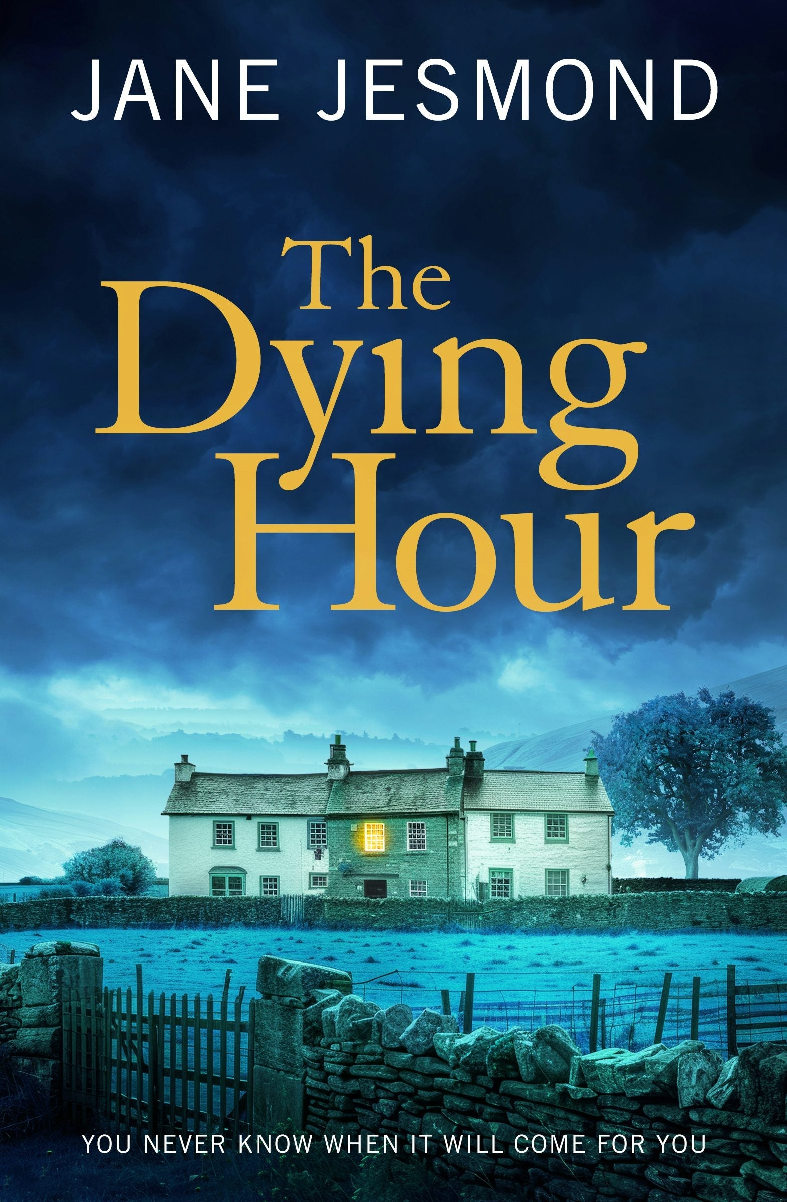 Book cover image for The Dying Hour ISBN: 9781805081678